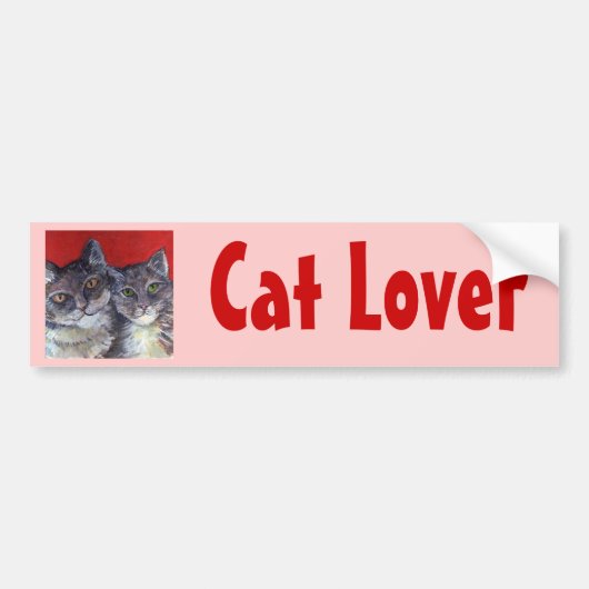 Mijn mooie tabletkatten bumpersticker (Voorkant)