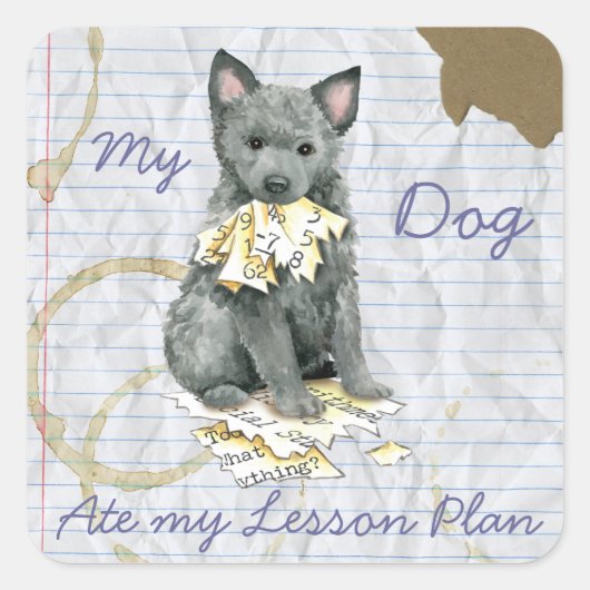 Mijn mudi Ate Mijn Lesson Plan Square Sticker (Voorkant)