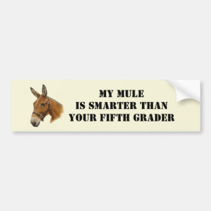 Mijn Mule is Smarter Bumpersticker