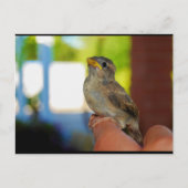 Mijn Mus Vriend Briefkaart (Voorkant)