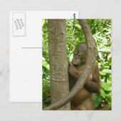 Mijn naam dragen in een boom briefkaart (Voorkant / Achterkant)