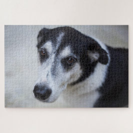 Mijn naam is Charlie Legpuzzel