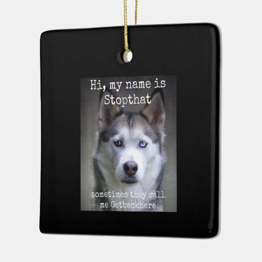 Mijn naam is stoppen dat grappige Hyper Siberian H Keramisch Ornament (Links)