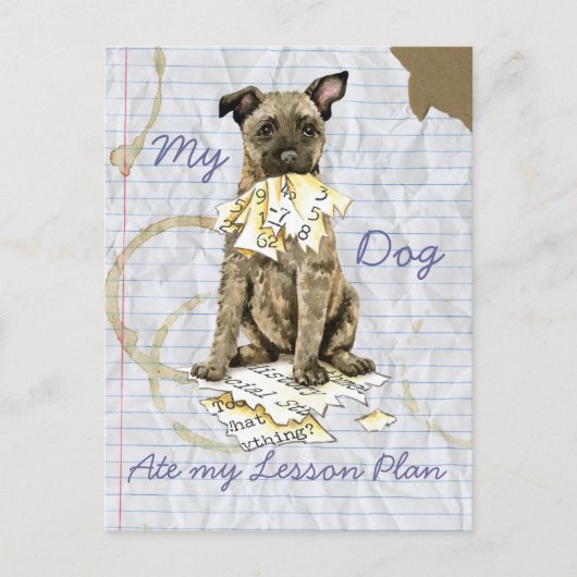 Mijn Nederlands Shepherd Ate mijn Lesson Plan Briefkaart (Voorkant)