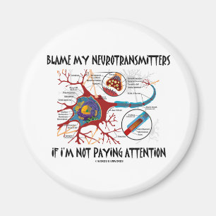 Mijn neurotransmitters de schuld geven als ze geen magneet