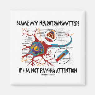 Mijn neurotransmitters de schuld geven als ze geen magneet