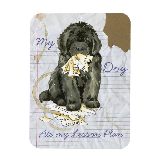 Mijn Newfoundland Ate mijn Lesson Plan Magneet (Verticaal)