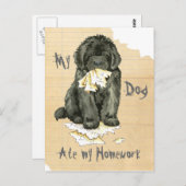 Mijn Newfoundland Ate Mijn thuiswerk Briefkaart (Voorkant / Achterkant)