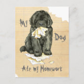 Mijn Newfoundland Ate Mijn thuiswerk Briefkaart (Voorkant)