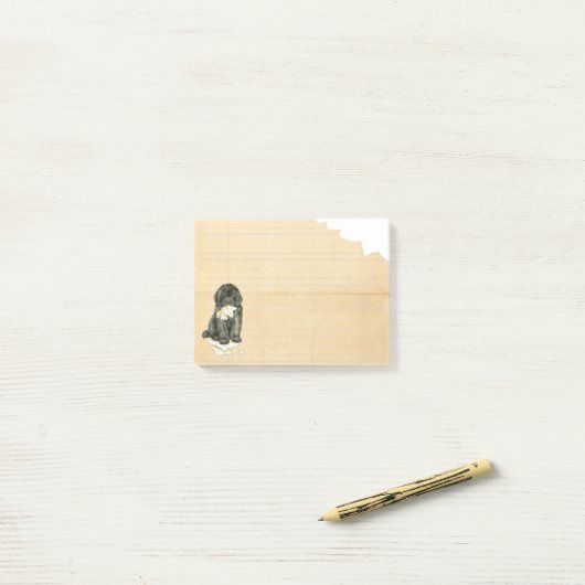 Mijn Newfoundland Ate Mijn thuiswerk Post-it® Notes (Op bureau)