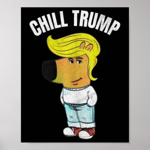 Mijn nieuwe personage is een chill Trump meme Funn Poster