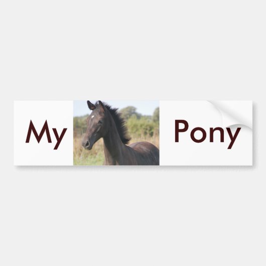 Mijn nieuwe Pony Bumpersticker (Voorkant)
