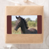 Mijn nieuwe Pony Etiket (Insitu)
