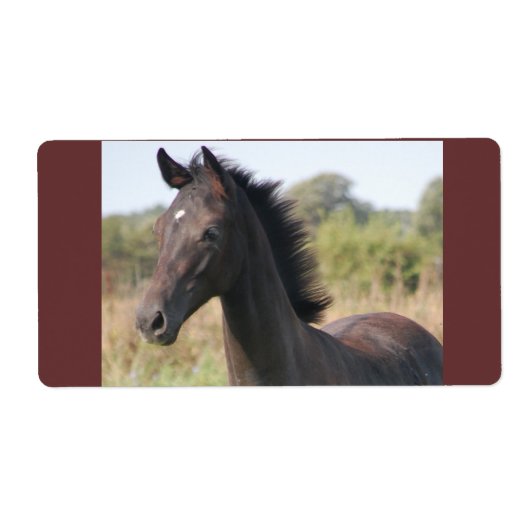 Mijn nieuwe Pony Etiket (Voorkant)