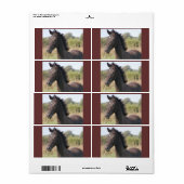 Mijn nieuwe Pony Etiket (Full Sheet)