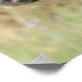 Mijn nieuwe Pony Poster (Hoek)