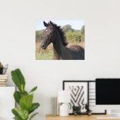 Mijn nieuwe Pony Poster (Thuiskantoor)