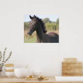 Mijn nieuwe Pony Poster (Keuken)