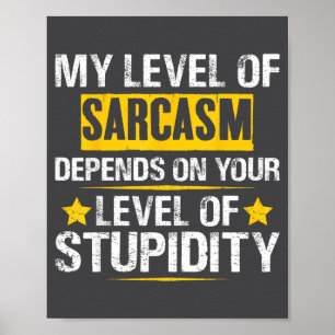 Mijn Niveau Sarcasme Sarcastische Spreuk Uitspraak Poster