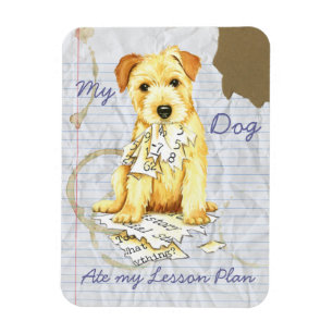 Mijn Norfolk Terrier at Mijn Plan van de Les Magneet