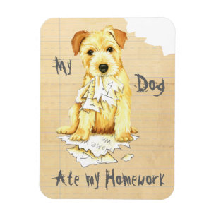 Mijn Norfolk Terrier Ate Mijn thuiswerk Magneet