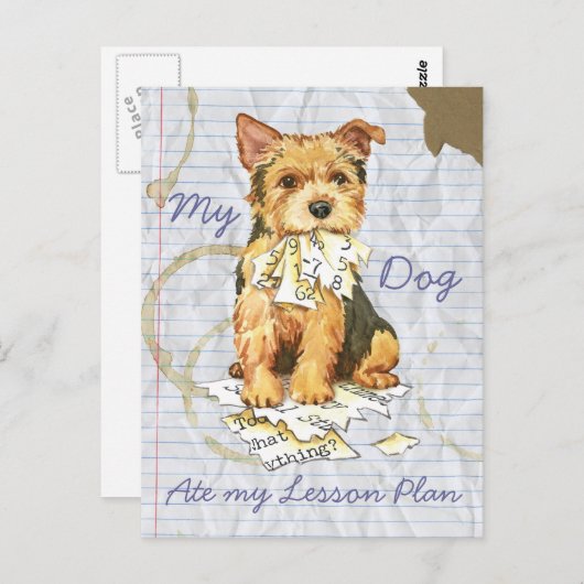 Mijn Norwich Terrier Ate mijn Lesson Plan Briefkaart (Voorkant / Achterkant)