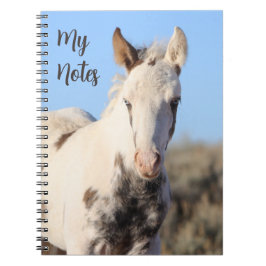 Mijn notities Wild Horse Thora Notitieboek
