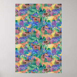 Mijn Okapi. Poster