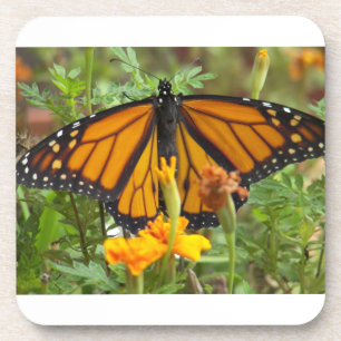 Mijn onderzetter van de Monarch-vlinderkurk