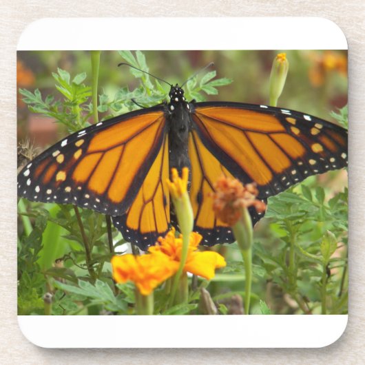 Mijn onderzetter van de Monarch-vlinderkurk (Voorkant)