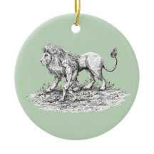 Mijn onzichtbare metgezel