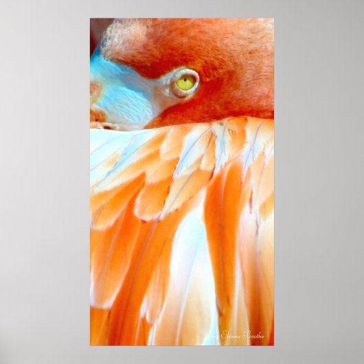 Mijn oog op you_Poster Poster (Voorkant)