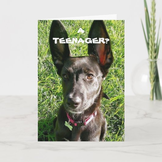 MIJN "OREN" KOMEN ZEKER VAN PAS "13th BIRTHDAY FUN Kaart (Voorkant)