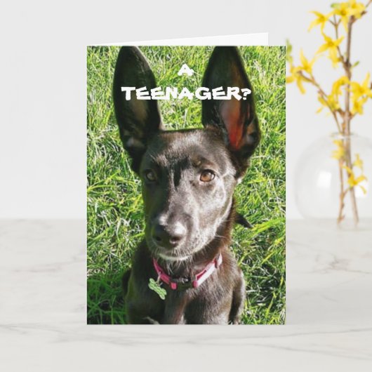 MIJN "OREN" KOMEN ZEKER VAN PAS "13th BIRTHDAY FUN Kaart (Gele Bloem)