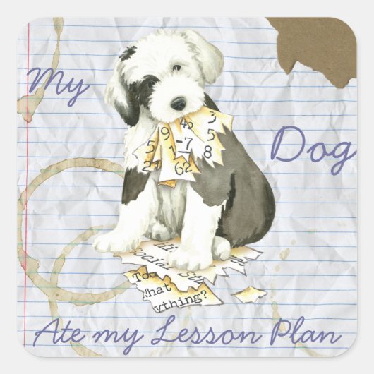 Mijn oude Engelse Sheepdog Ate mijn Lesson Plan Vierkante Sticker (Voorkant)