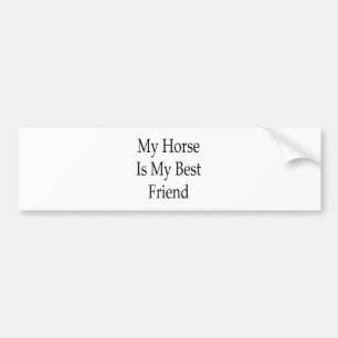 Mijn paard is mijn beste vriend bumpersticker