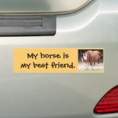 Mijn paard is mijn beste vriend sticker (Op auto)