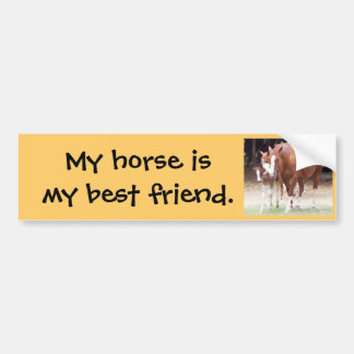 Mijn paard is mijn beste vriend sticker