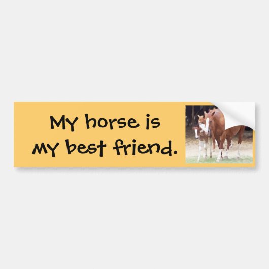 Mijn paard is mijn beste vriend sticker (Voorkant)
