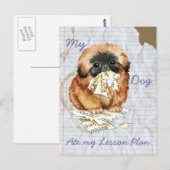 Mijn Pekingese Ate mijn Lesson Plan Briefkaart (Voorkant / Achterkant)