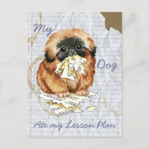 Mijn Pekingese Ate mijn Lesson Plan Briefkaart