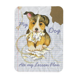 Mijn Pembroke Welsh Corgi Ate mijn Lesson Plan Magneet