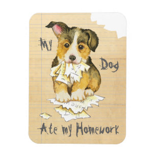 Mijn Pembroke Welsh Corgi Ate mijn thuiswerk Magneet