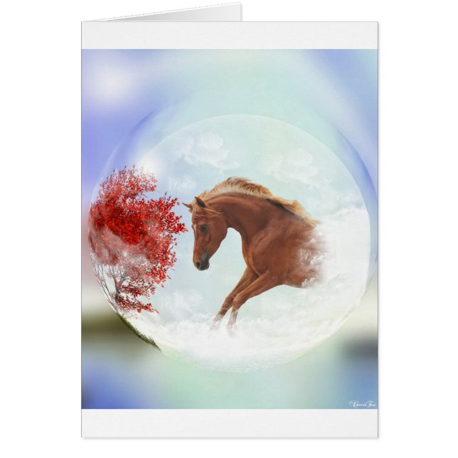 Mijn perfecte droom (Voorkant)