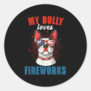 Mijn pestkop houdt van vuurwerk 4 juli Patriotic D Ronde Sticker