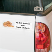 Mijn Pet Birmese eet de Bumpersticker van studente (Op Truck)