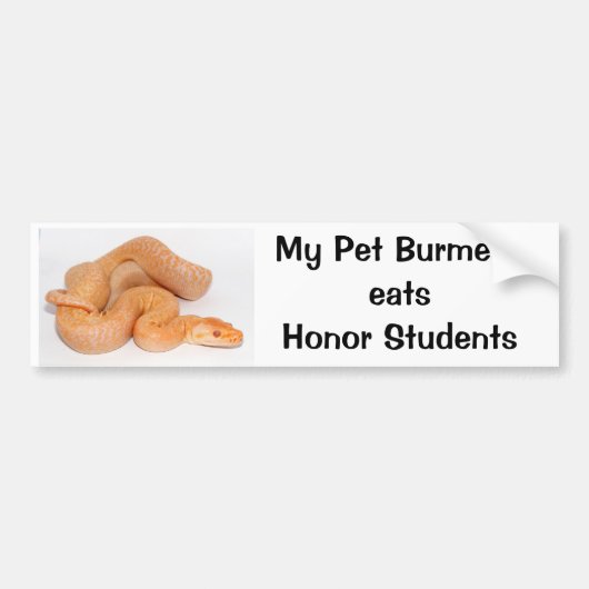 Mijn Pet Birmese eet de Bumpersticker van studente (Voorkant)