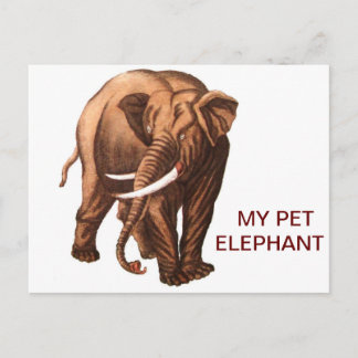 MIJN PET ELEPHANT BRIEFKAART