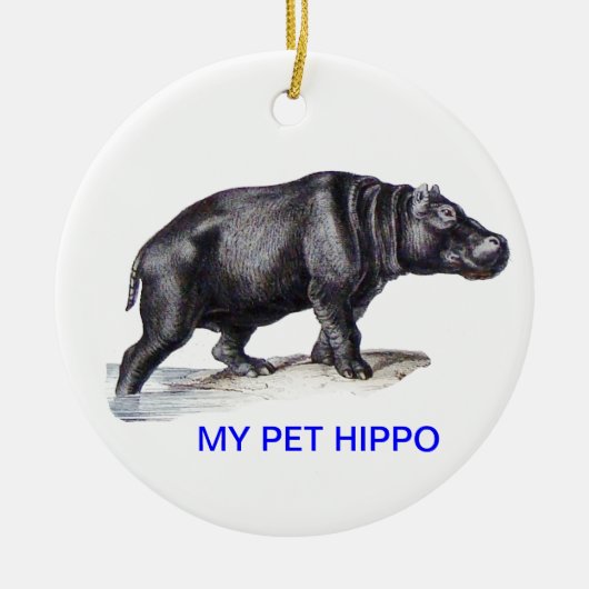 MIJN PET HIPPO KERAMISCH ORNAMENT (Voorkant)