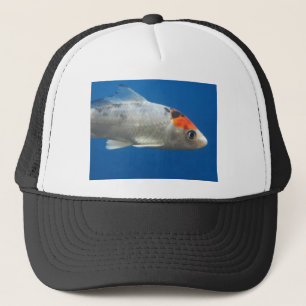 Mijn Pet Koi Fish